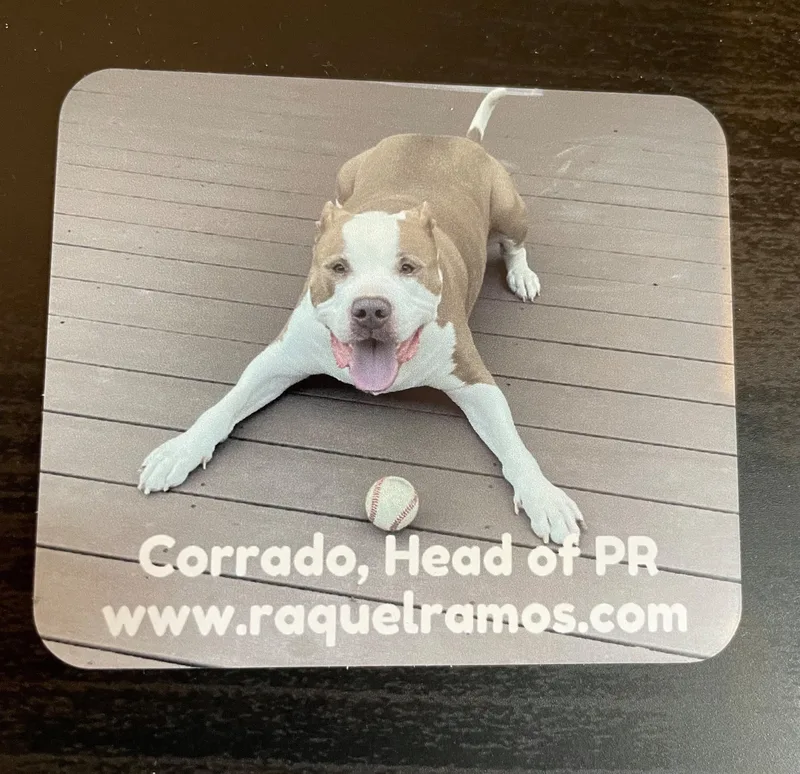 Corrado the PR Dog Fridge Magnet